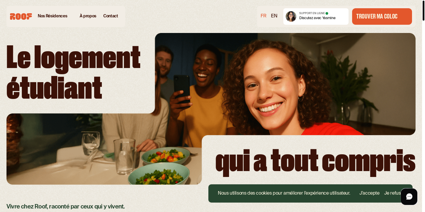 Website Screenshot Roof