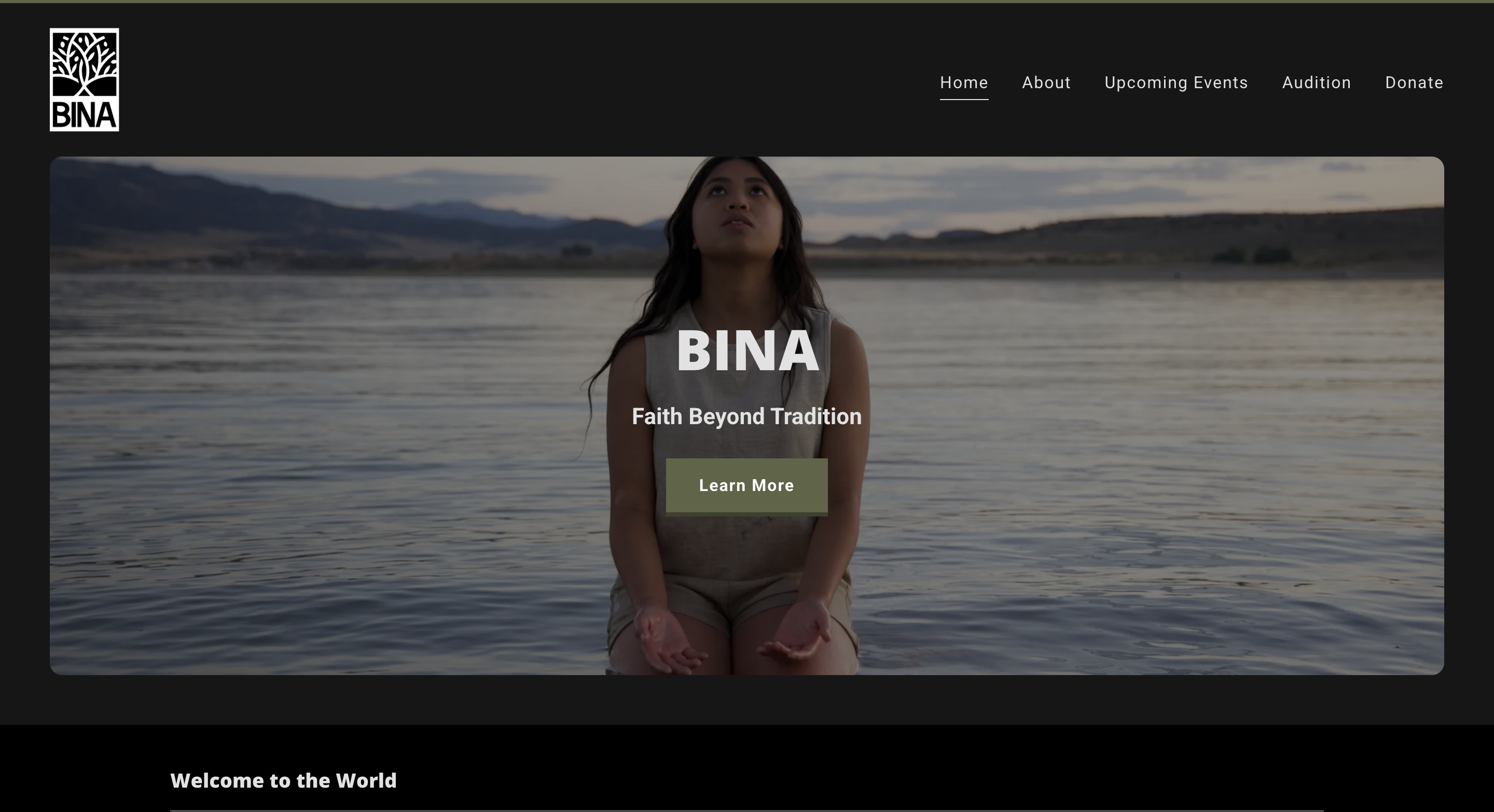 Website Screenshot Bina