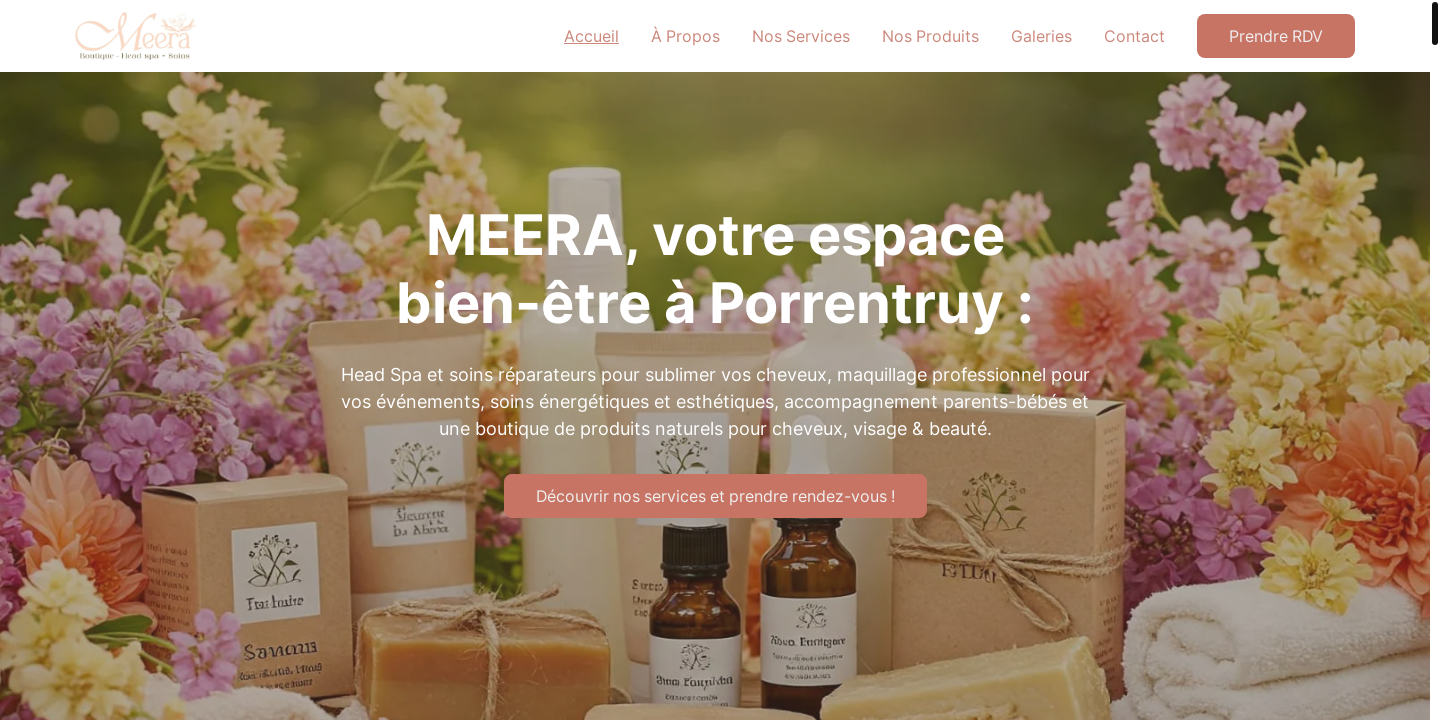 Website Screenshot Meera